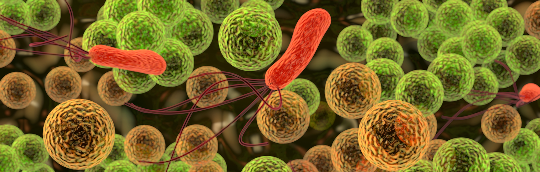 Mikrobiom & Infektiologie