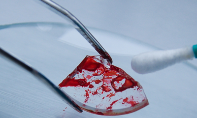 Gerichtsmedizin - mario beauregard/AdobeStock