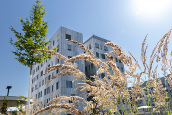 Campus Med Uni Graz | Foto: David Schreyer