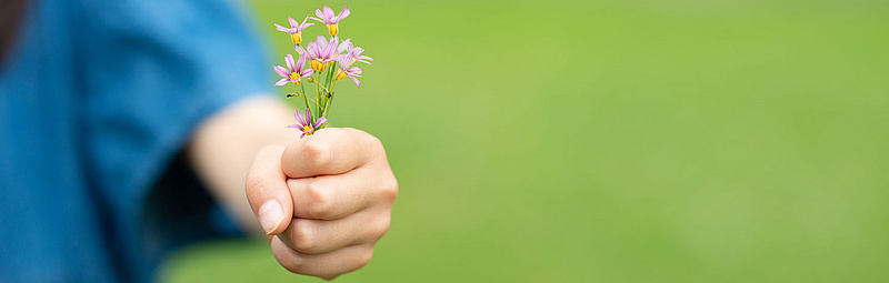 Blume - Credit: hakase420/AdobeStock