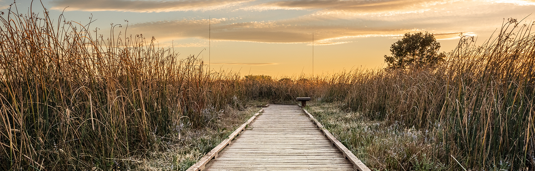 Bild eines Stegs im Sonnenuntergang