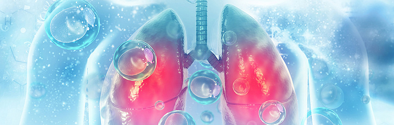 Lungs - Credit: CrystalLight/AdobeStock