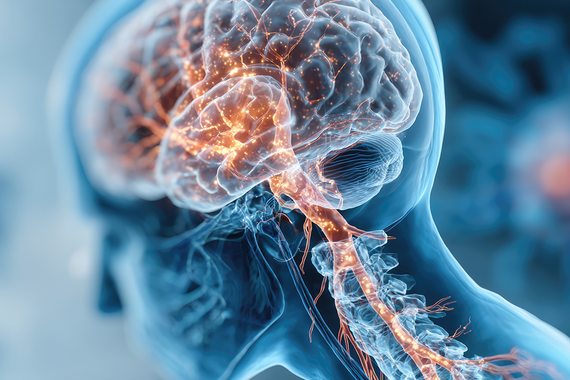 Neurowissenschaften - adobestock.com/EarthWalker