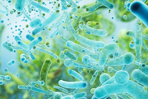 3D-Darstellung von blauen Bakterien im Hintergrund