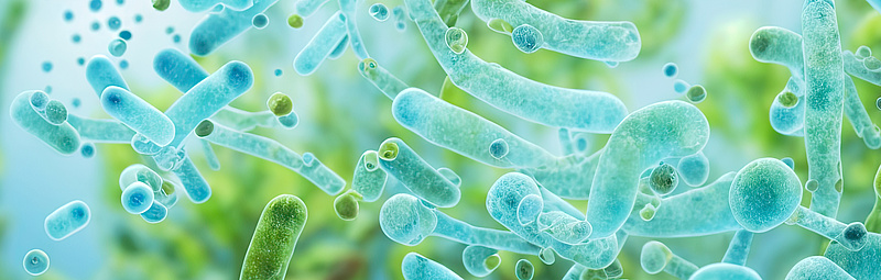3D-Darstellung von blauen Bakterien im Hintergrund