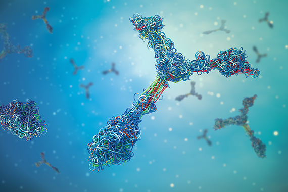 Genetische und umweltbedingte Krankheitsmechanismen