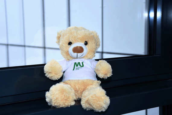 Teddybär