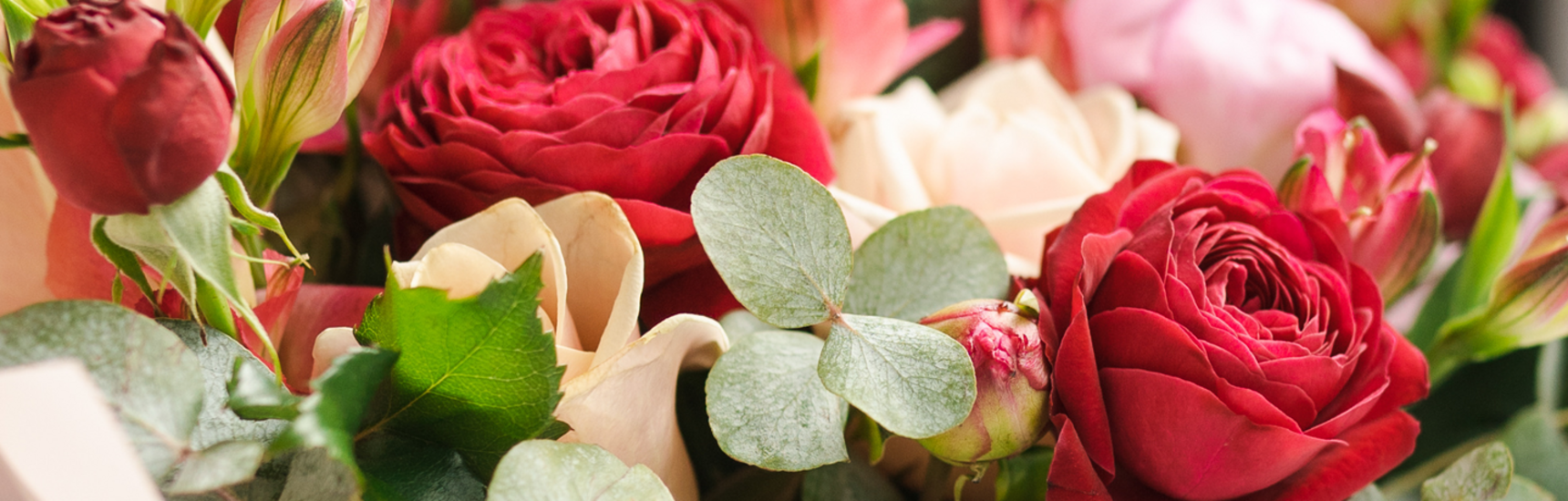 Herzlichen Glückwunsch Foto: Ann/AdobeStock.com