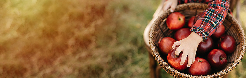 Aepfel in einem Korb - Credit: Serenkonate/adobe.stock.com