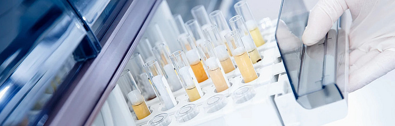 Schüler*innen zu Besuch am Zentrum für Biomedizinische Forschung