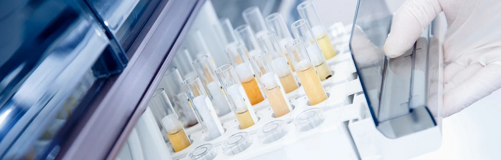 Schüler*innen zu Besuch am Zentrum für Biomedizinische Forschung