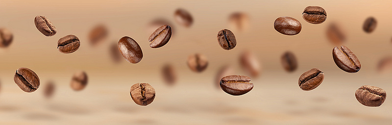 Kaffeebohnen fliegen durch die Luft - Ganna Chabanenko/adobe.stock.com