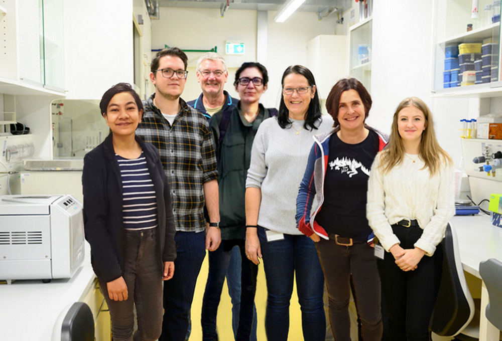 The team of the research group with team leader Wolfgang Sattler.