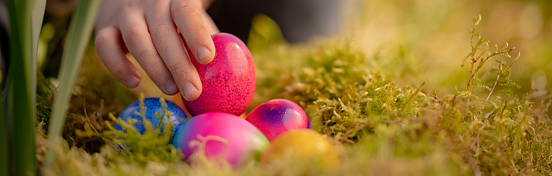 Wieviel Ei ist gesund? Foto:sas/AdobeStock.com