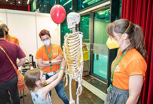 Einblicke - Was zeigt uns die Anatomie?