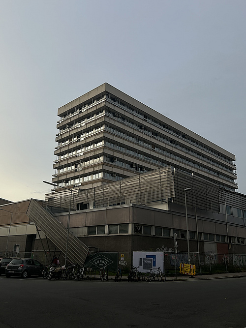 Foto: Sezierkurs
