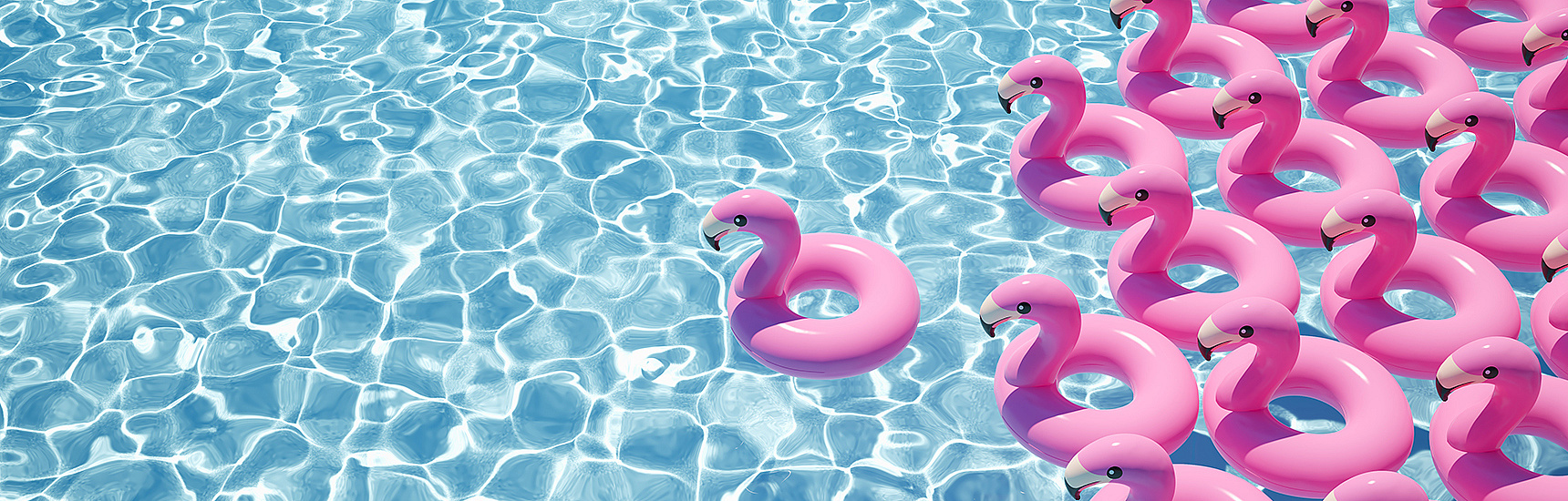 Rosa Flamingos im Pool - 2mmedia/adobe.stock.com