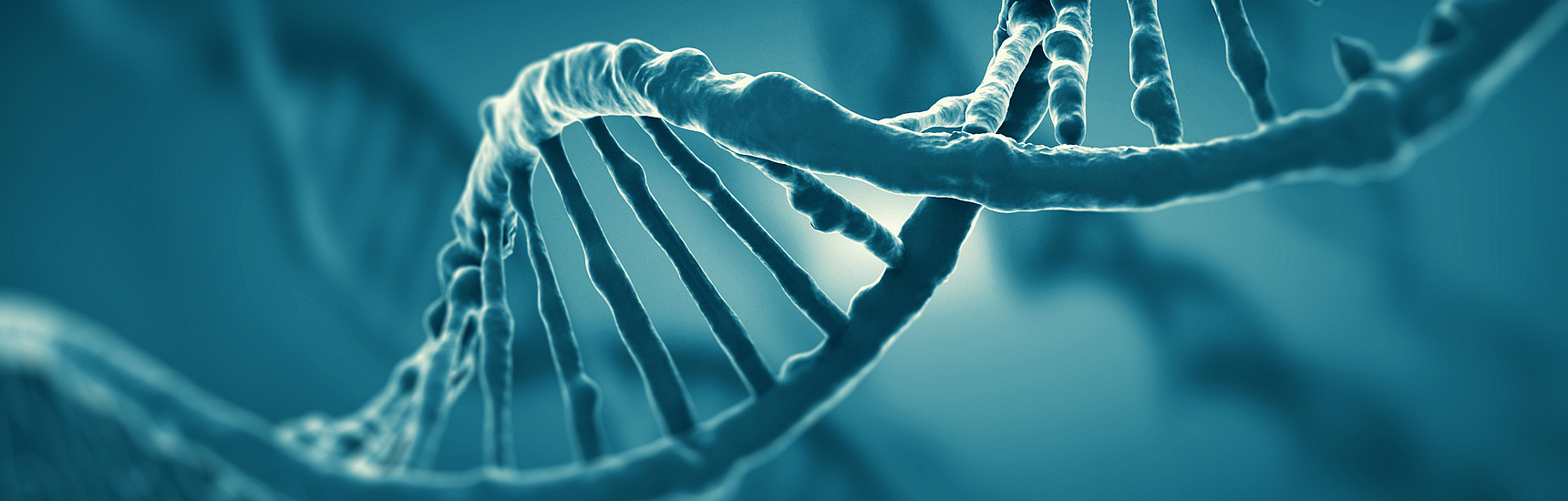 a computer-generated model of a strand of DNA.