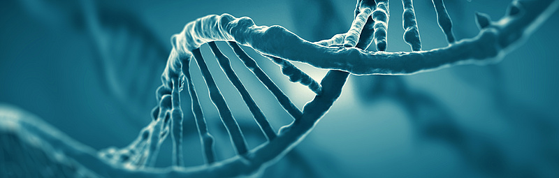 Ein computergeneriertes Modell eines DNA-Stranges