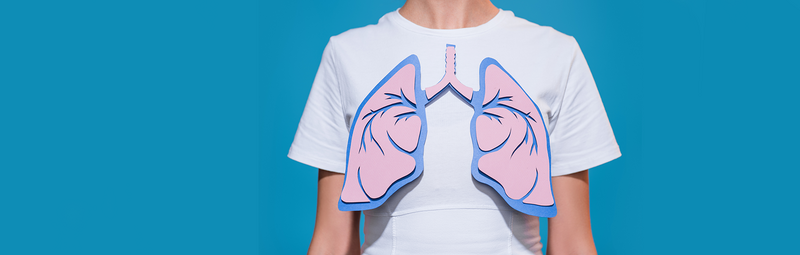 Modell einer Lunge