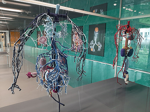 Ausstellung "Gestrickte Anatomie"