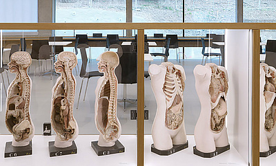 Anatomie - Photo: Paul Ott