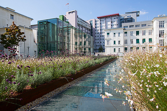 LKH-Univ. Klinikum Graz