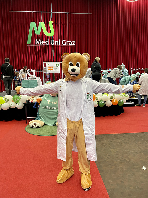 Foto: Teddybär beim Teddybär-Krankenhaus
