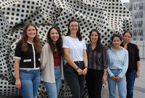 Forschungsteam Reichmann - Farzi