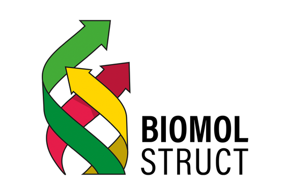 BioMolStruct 