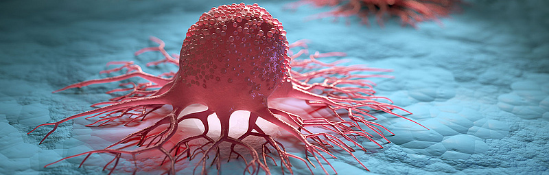 Krebszellen - peterscheiber.media/AdobeStock