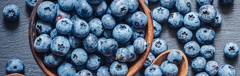 Viele Heidelbeeren auf blau-grauem Hintergrund, in einem Holzbecher und auf Holzlöffeln.