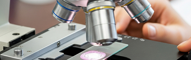 Mikroben schürfen Metalle im All effizienter