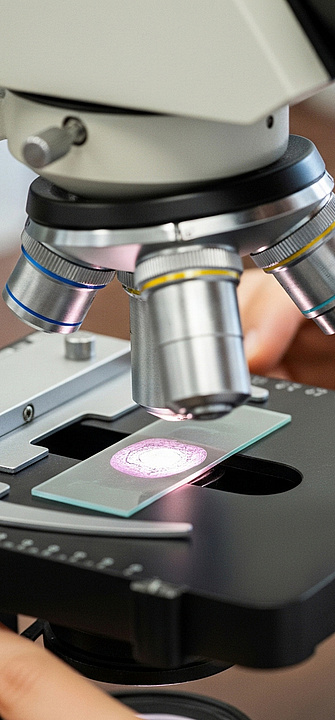 Mikroben schürfen Metalle im All effizienter