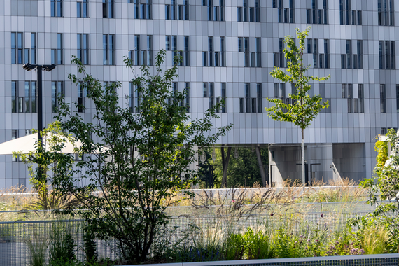 MED CAMPUS Graz