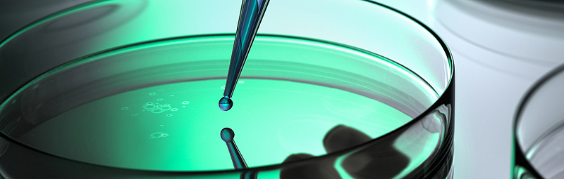 Forschende pipettieren eine Flüssigkeit in einer Petrischale.