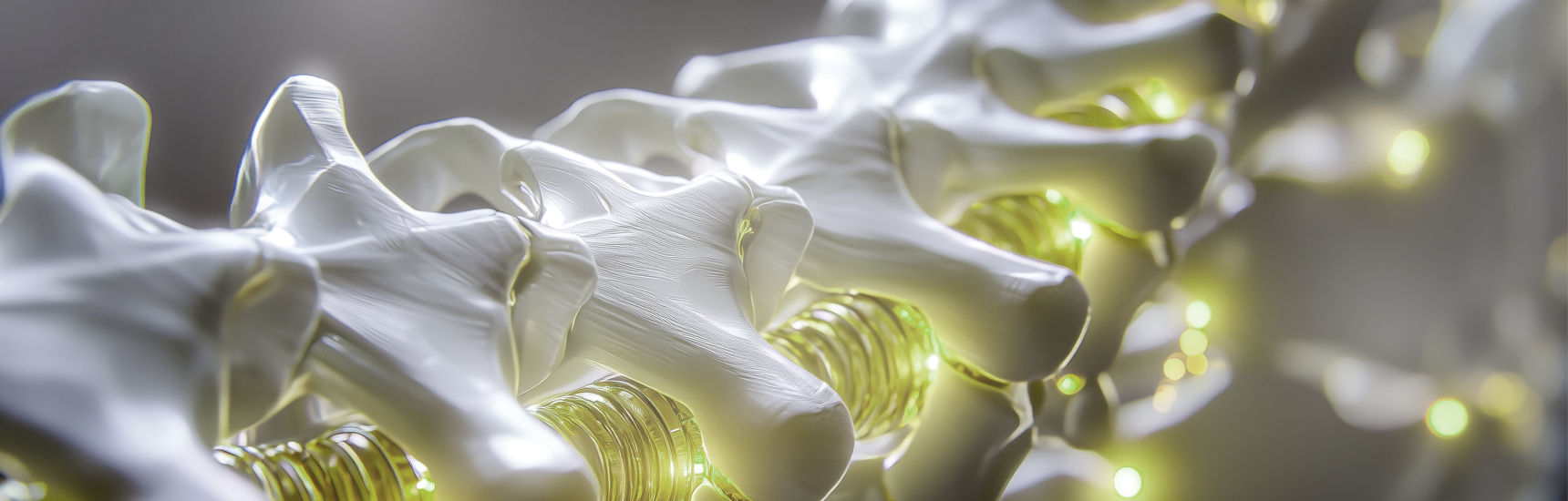 sunde Knochen – stark durchs Leben: Informationstag rund um Osteoporose