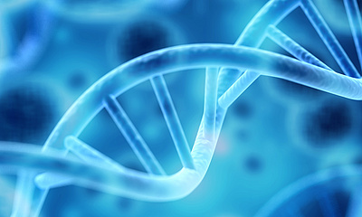 3D-Darstellung eines DNA-Strangs - BillionPhotos.com