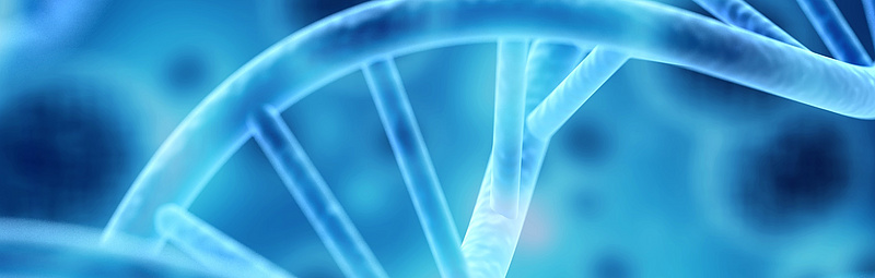 Zellen unter dem menschlichen DNA-System