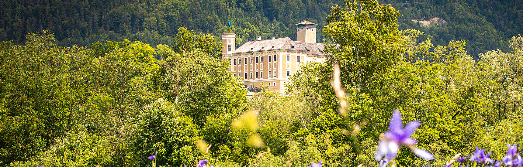 Schloss Trautenfels - Andrea Aigner/adobe.stock.com