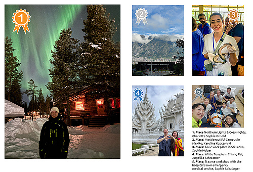 The 5 winning photos from the photo competition 