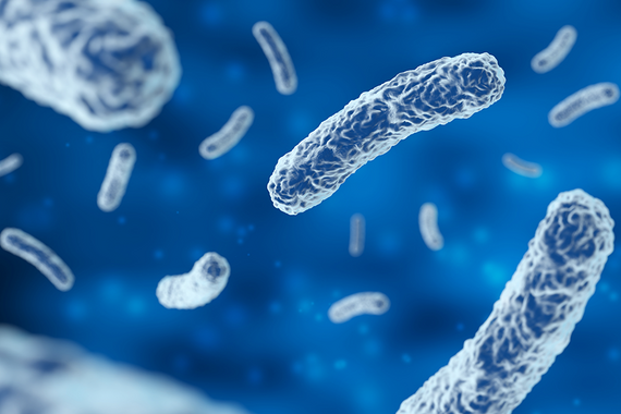 Mikrobiom