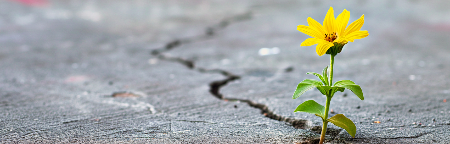 Studie Resilienz