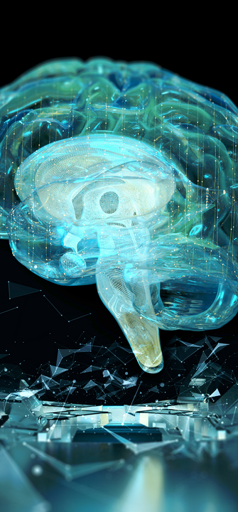 Ein computergeneriertes, transparantes 3D-Modell eines Gehirns schwebt über einem glasähnlichen Untergrund vor Schwarzem Hintergrund.