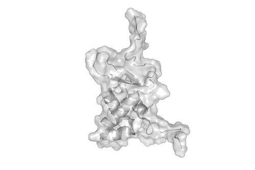 Structure of the FOXO4 transcription factor forkhead domain 