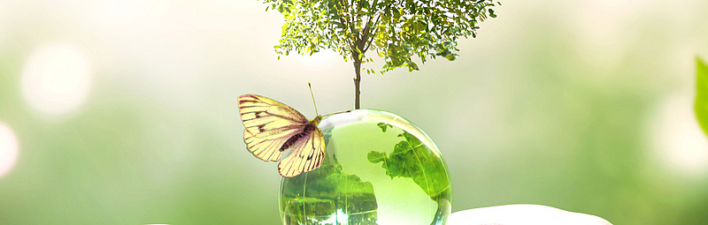 Two years of the Climate Pact in Graz 
