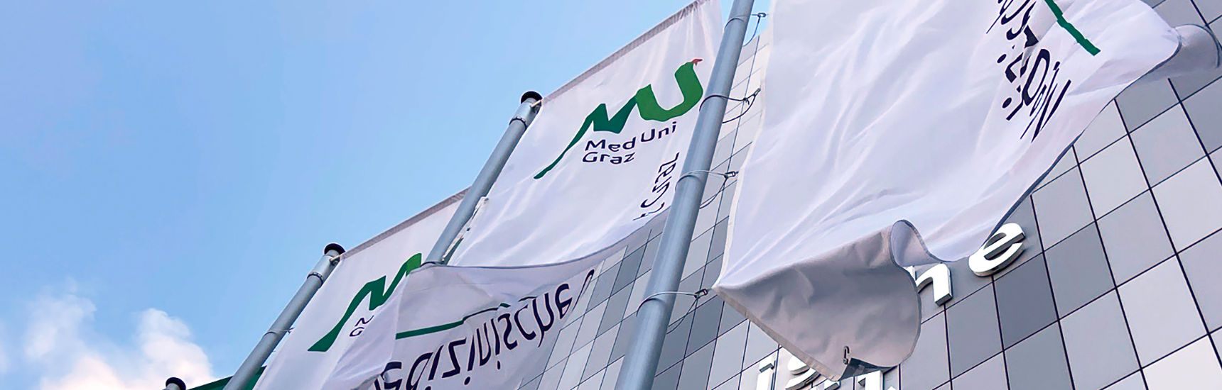 Flaggen am Campus der Med Uni Graz