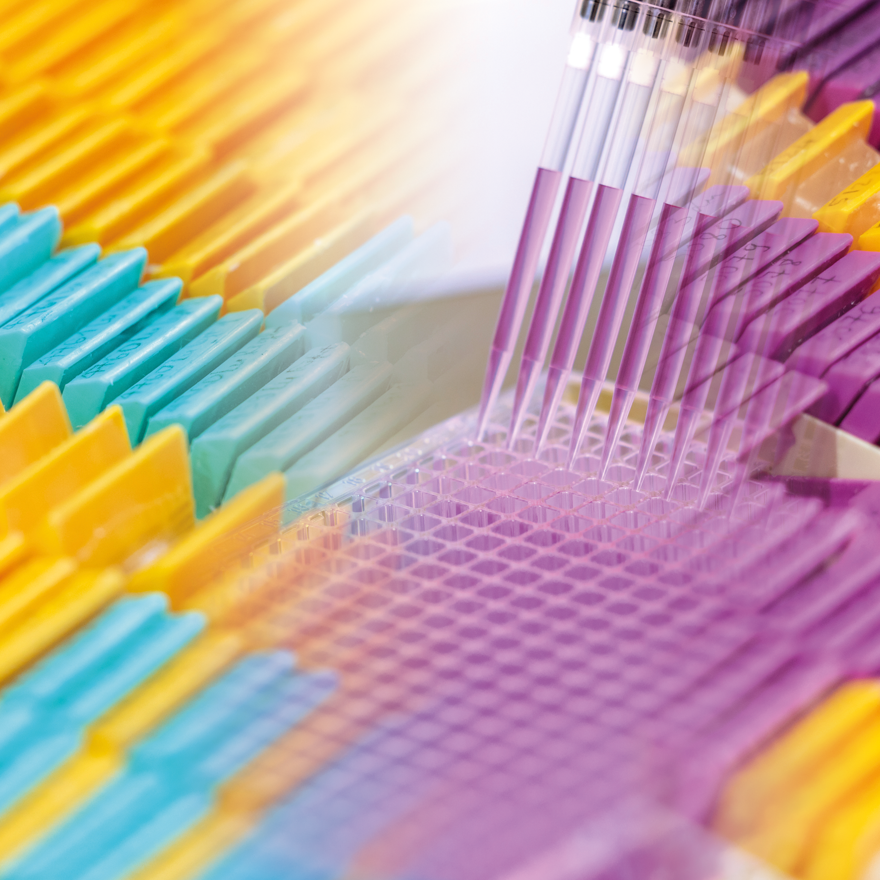 CD-Labor für Lipid-Emulsionen als Paradigmenwechsel in der Chemotherapie