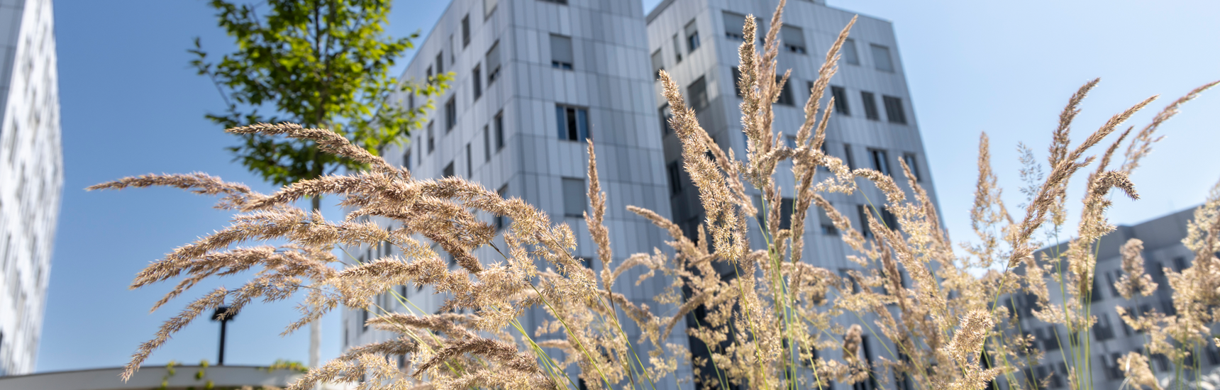 Campus Med Uni Graz