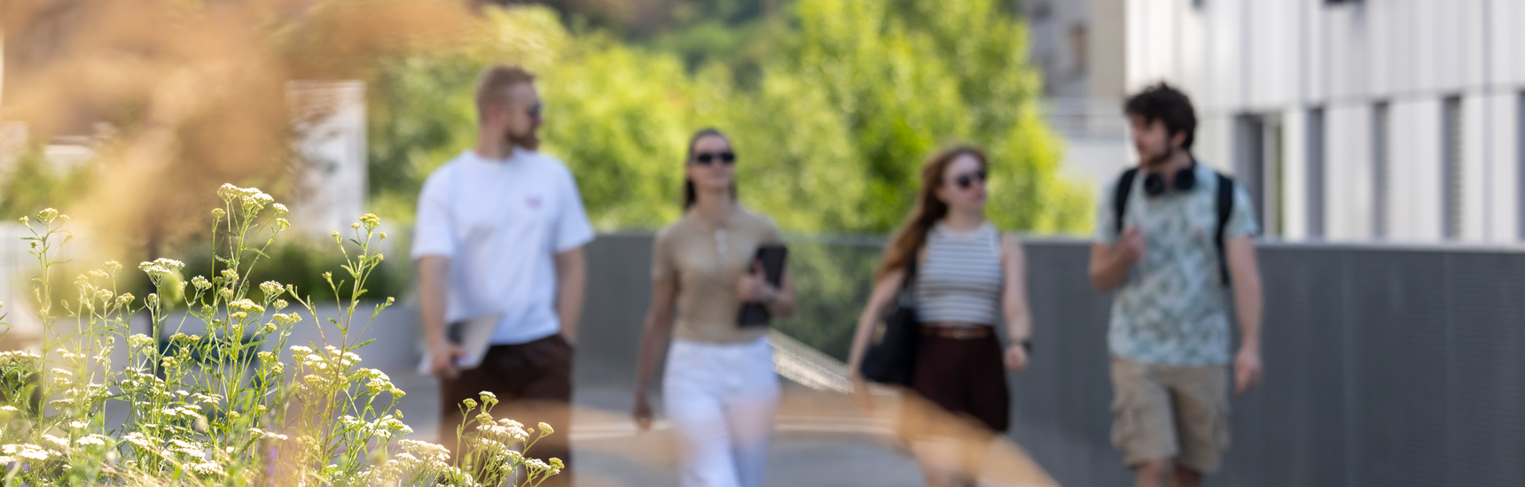 Studierende am Campus